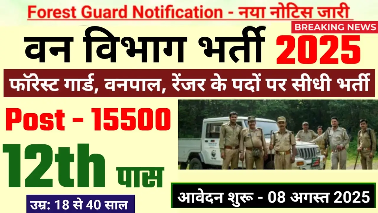 Forest Vacancy 2025