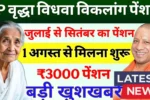 Viklang Pension Yojana 2025
